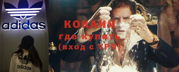 индика Дмитровск