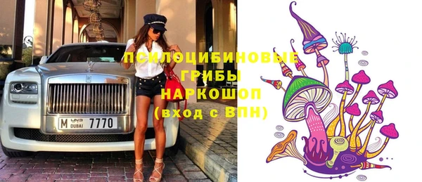 бошки Алексин