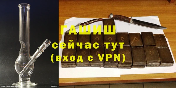 дмт Дмитров