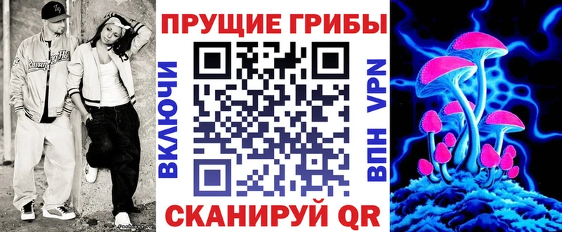 закладки  Краснообск  Псилоцибиновые грибы Cubensis 